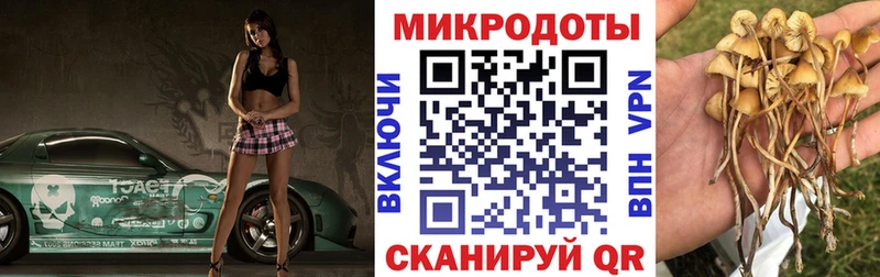 Галлюциногенные грибы Psilocybe  Купить закладки  Вилюйск 
